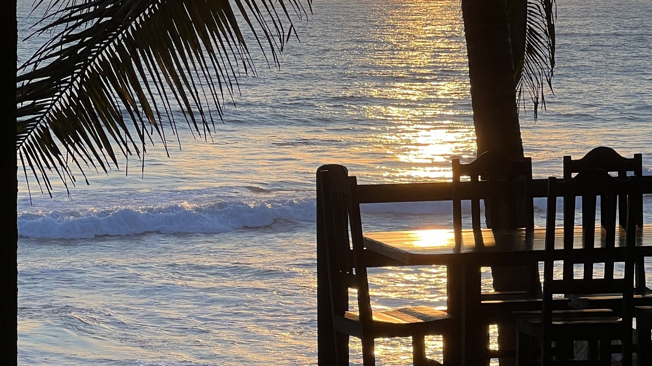 Photo of Outdoor in Saladita