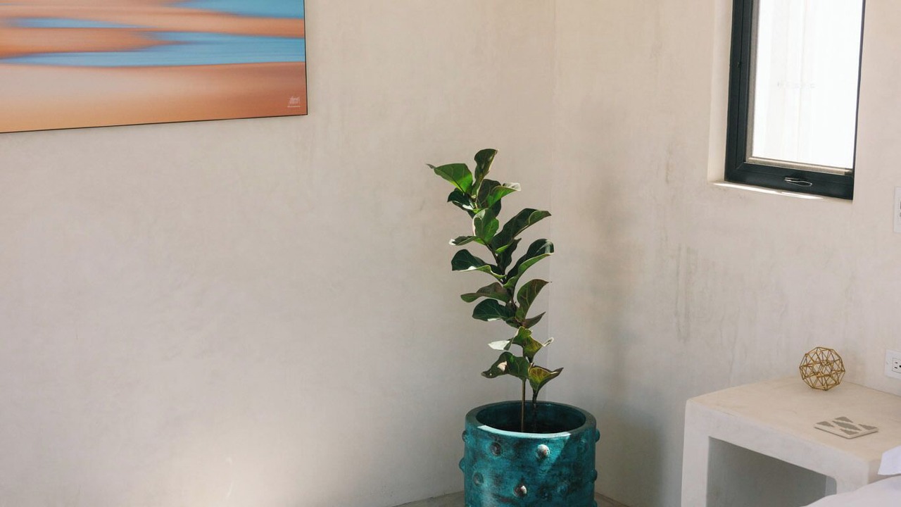 Photo of Bedroom in El Pescadero