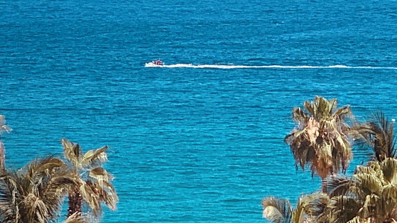 Photo of Others in El Medano Ejidal