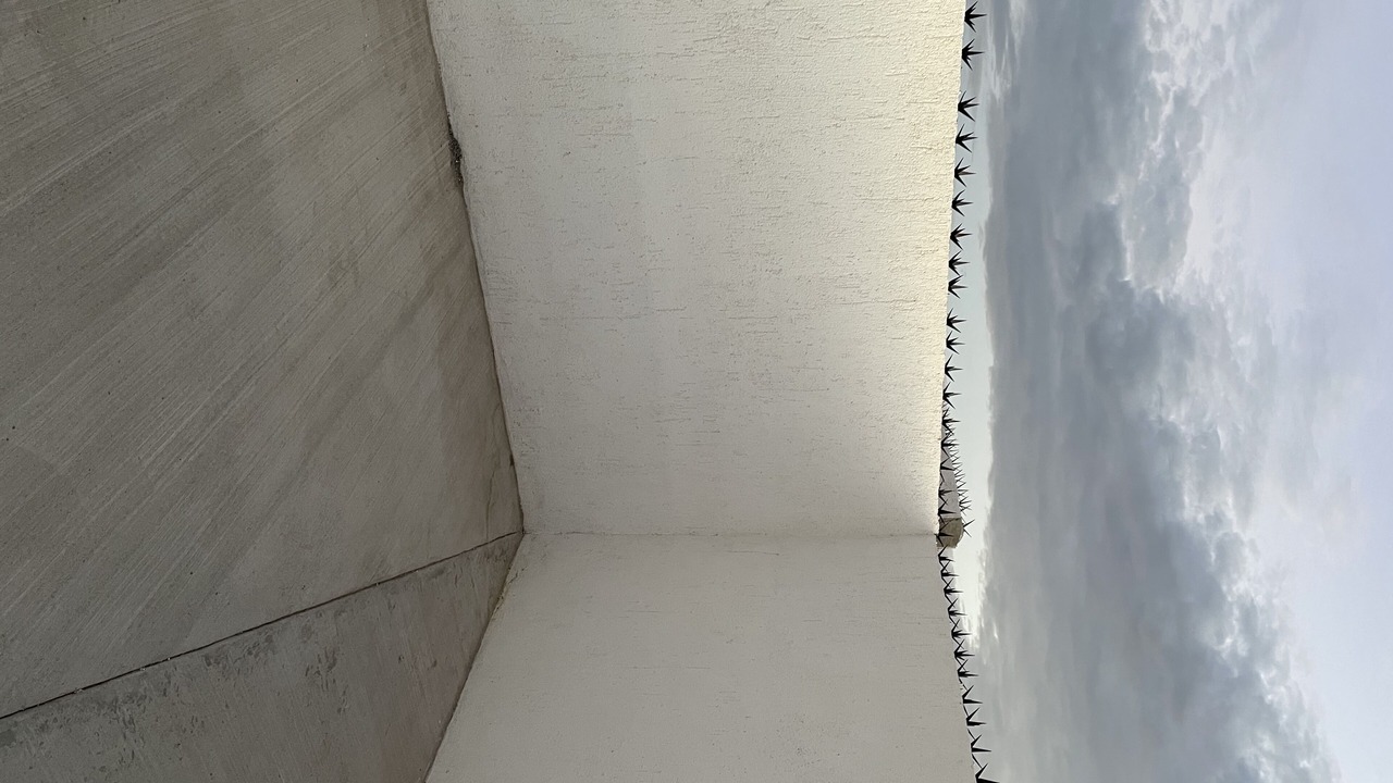 Photo of Bedroom in La Paz