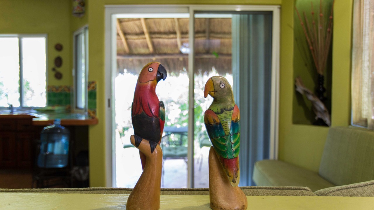 Photo of Others in Buenavista
