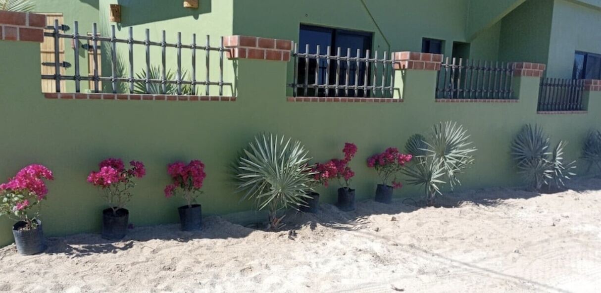 Photo of Others in Buenavista