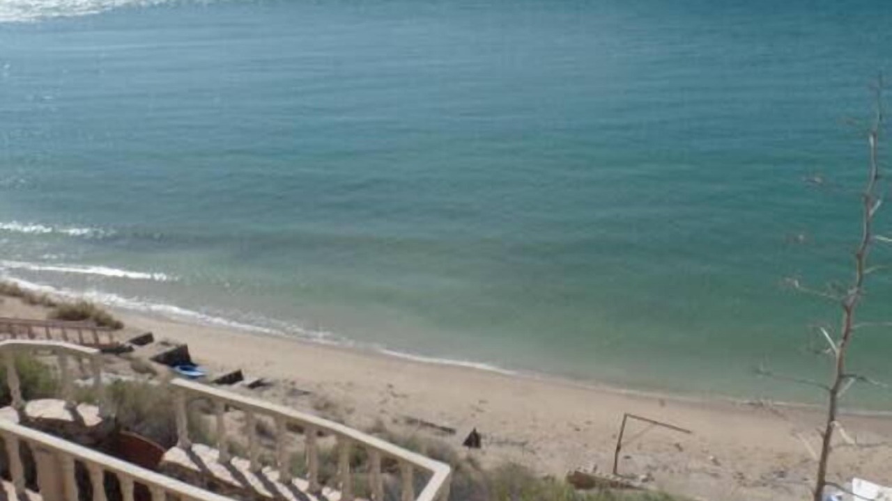 Photo of Others in Cholla Bay