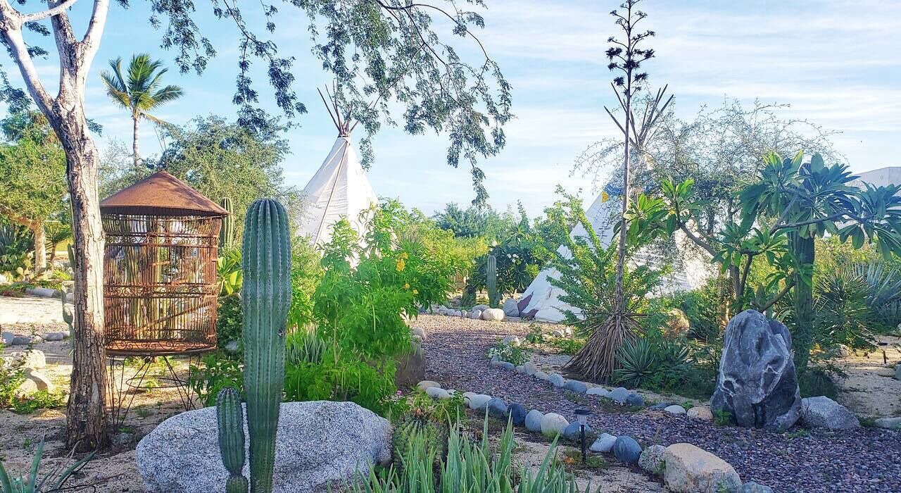 Photo of Outdoor in Los Barriles