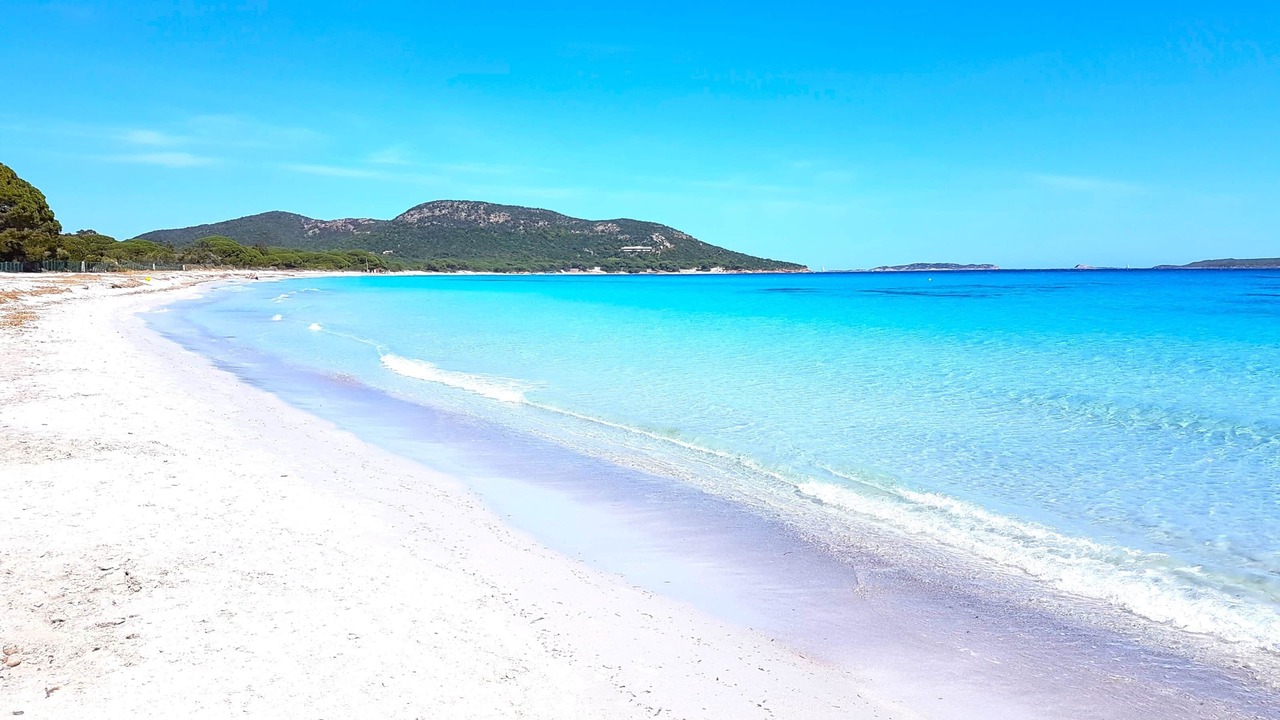 Photo of Others in Porto-Vecchio