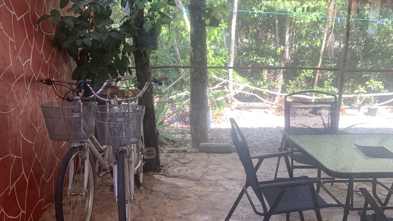Photo of Outdoor in Puerto Morelos