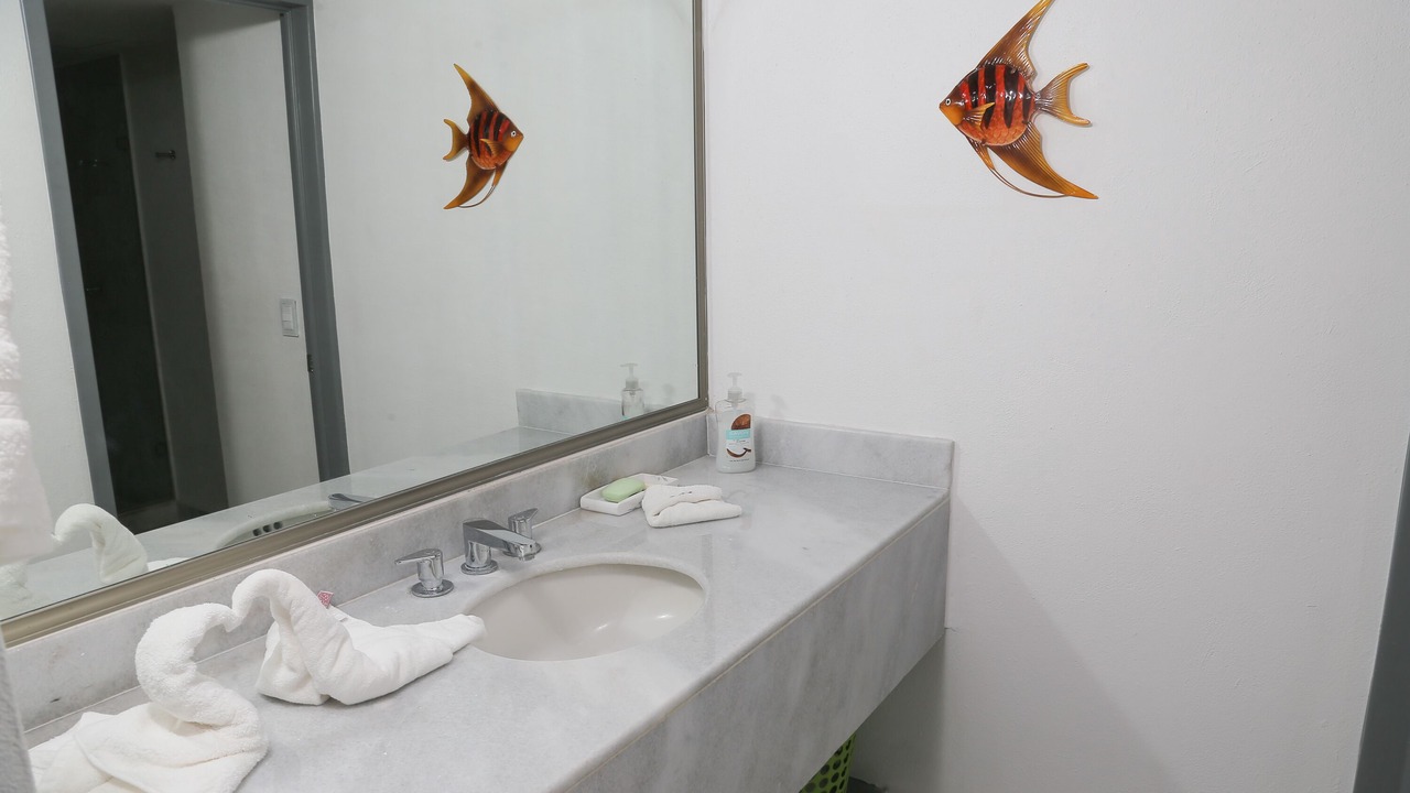 Photo of Bathroom in Ixtapa