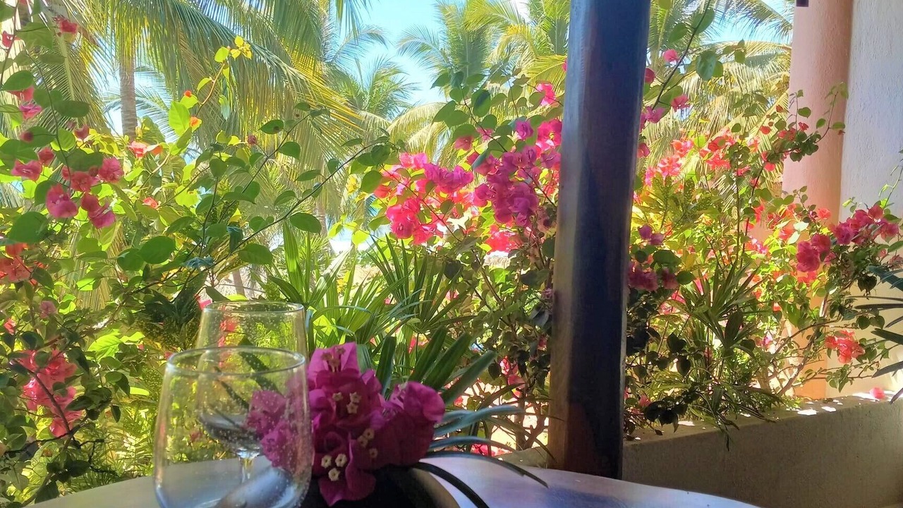 Photo of Outdoor in Troncones