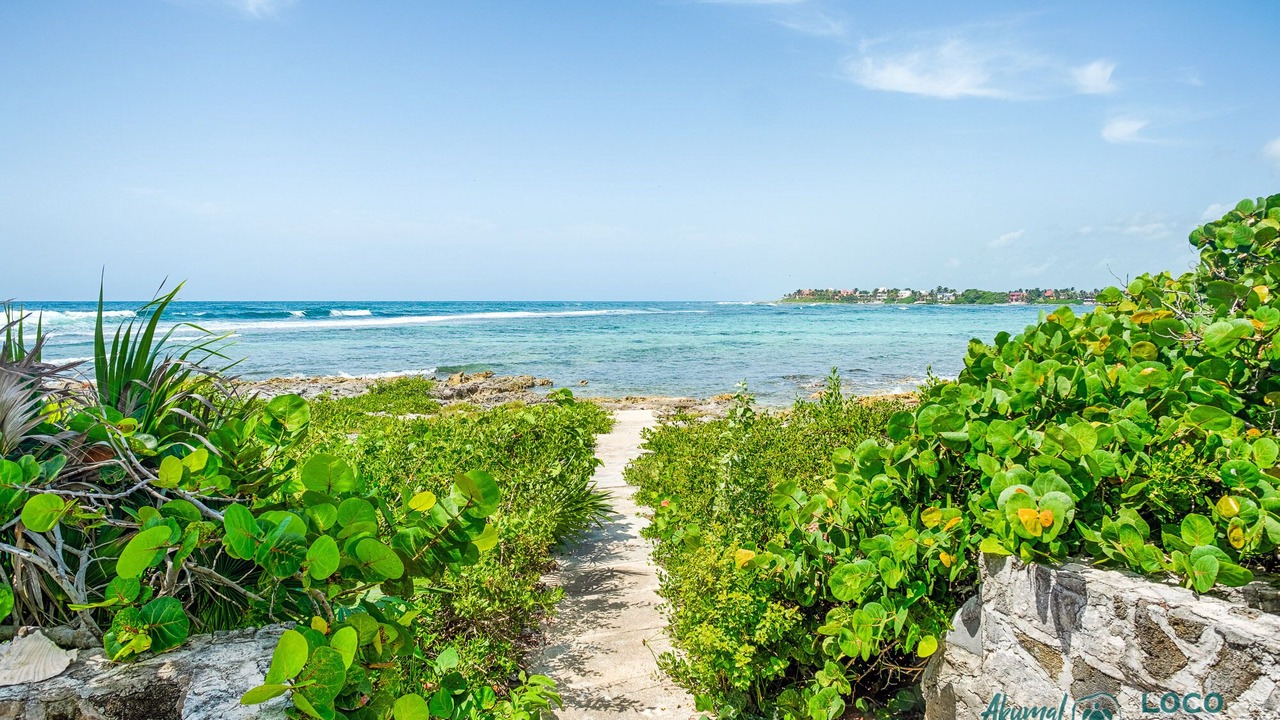 Photo of Others in Akumal