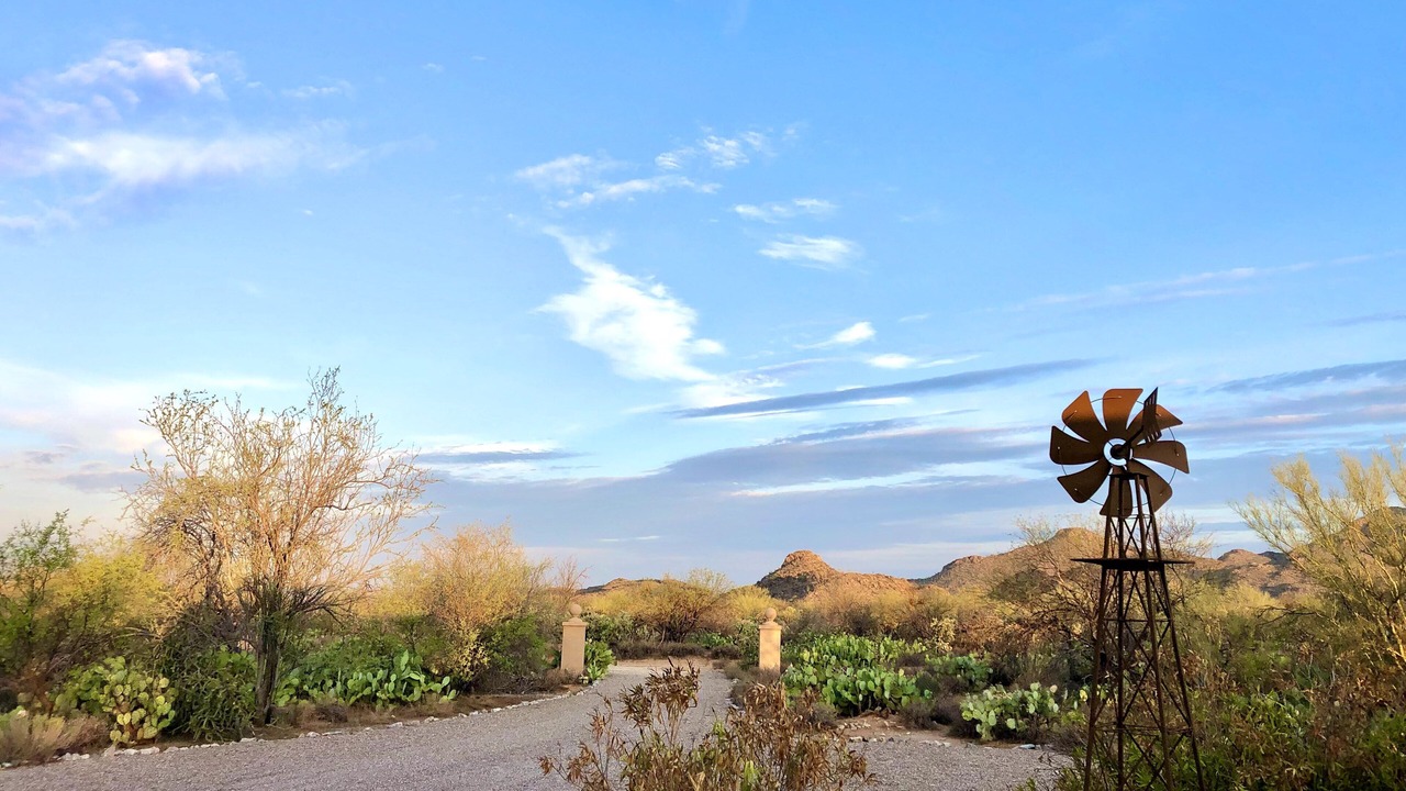 Photo of Outdoor in Tucson