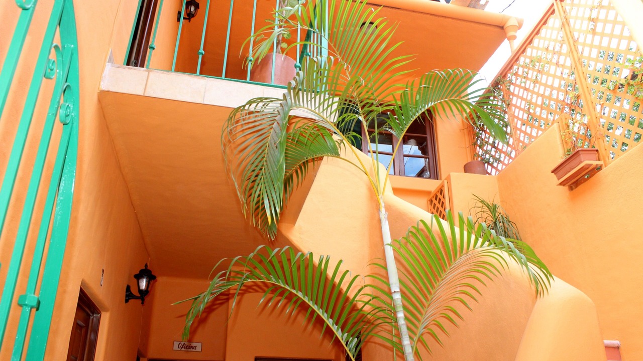 Photo of Outdoor in Boca de Tomatlan
