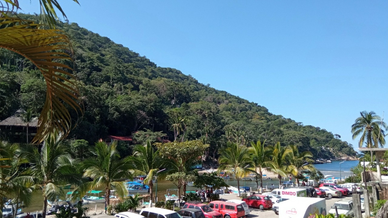 Photo of Others in Boca de Tomatlan