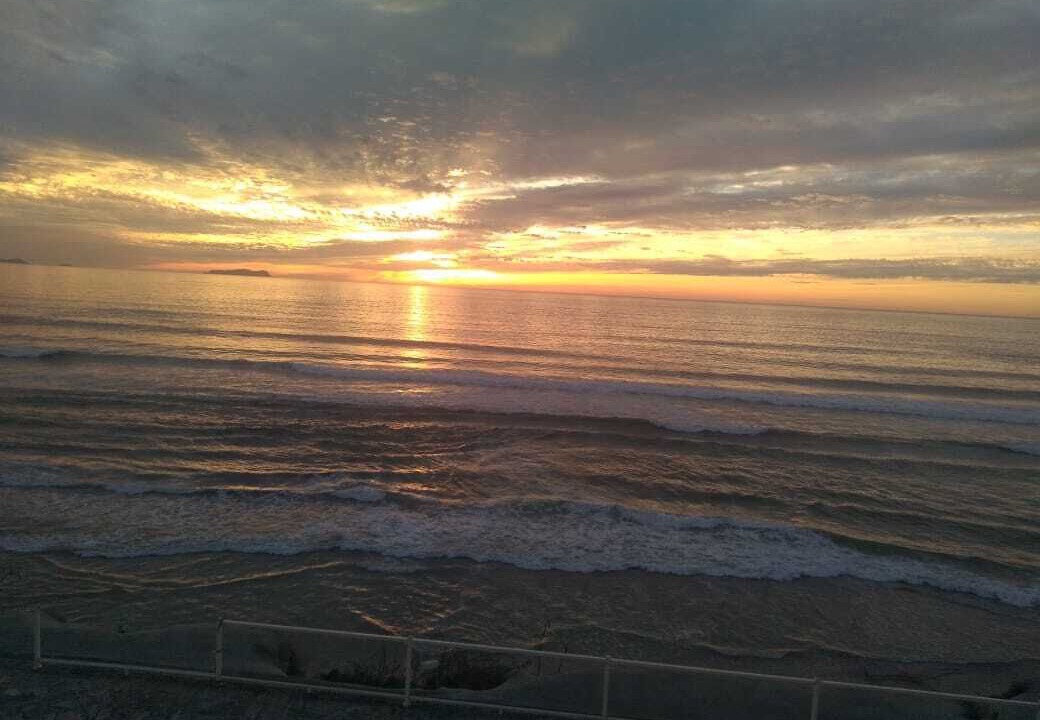 Photo of Others in Costa de Oro