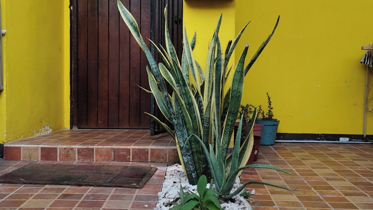 Photo of Outdoor in Downtown Cancun