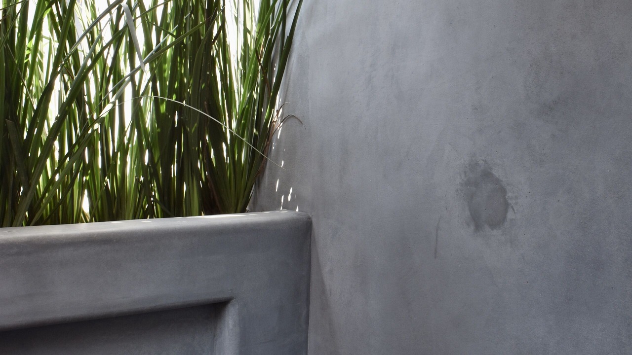 Photo of Bathroom in Troncones