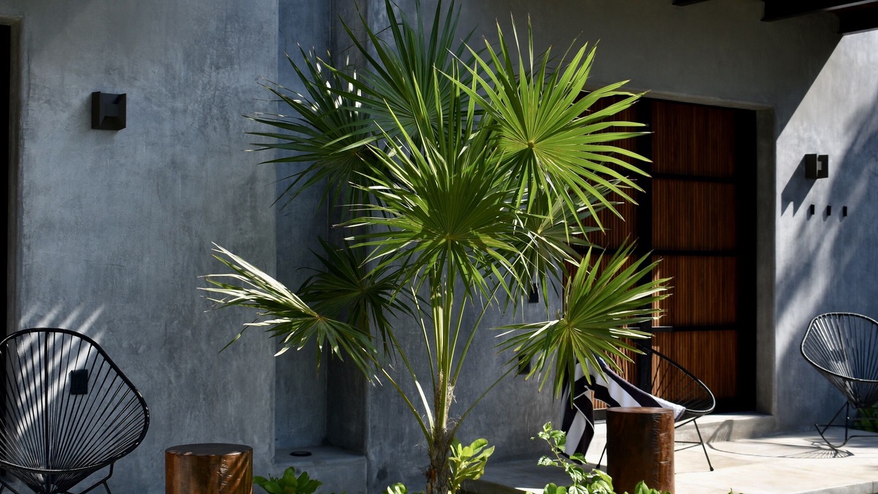 Photo of Patio Balcony in Troncones