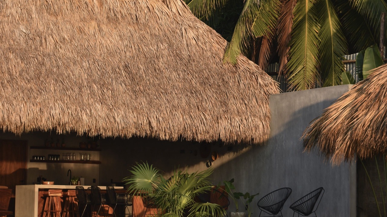 Photo of Outdoor in Troncones