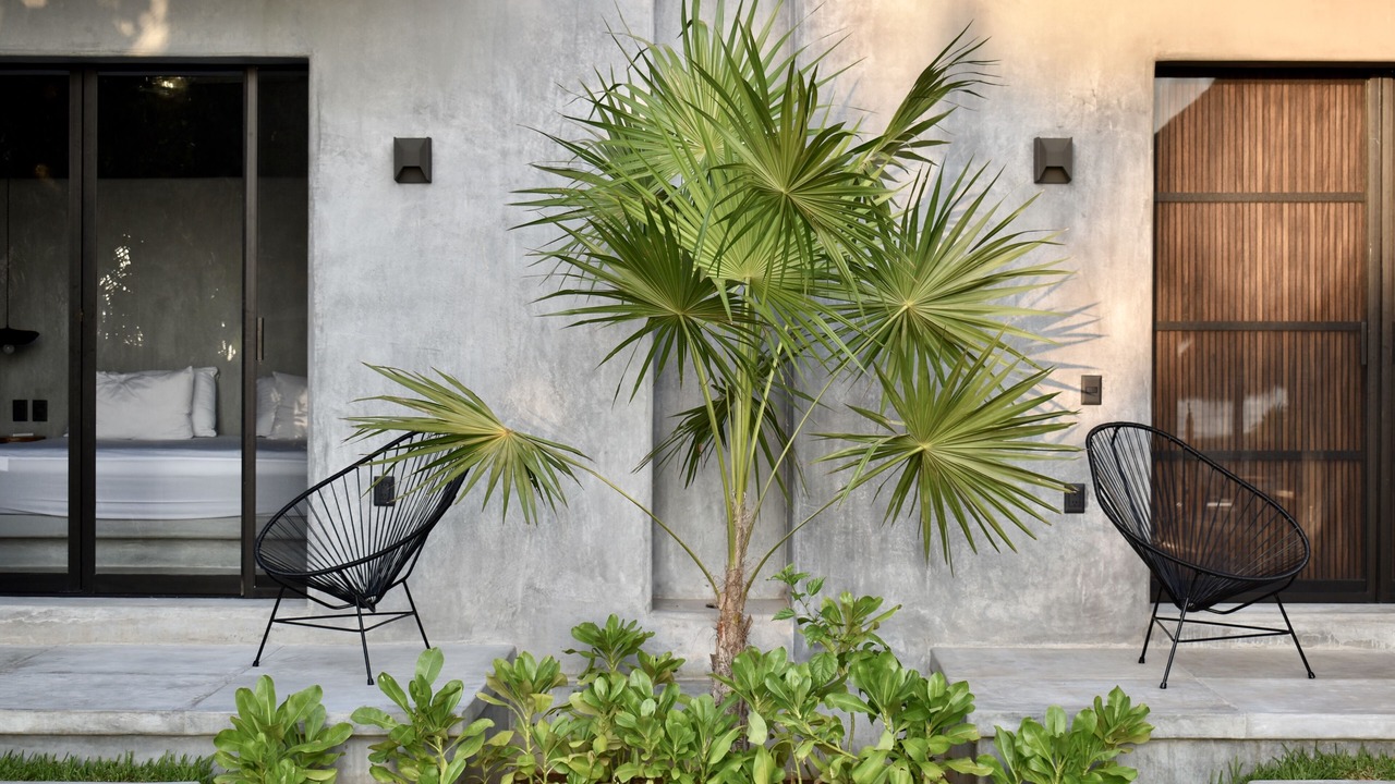 Photo of Outdoor in Troncones