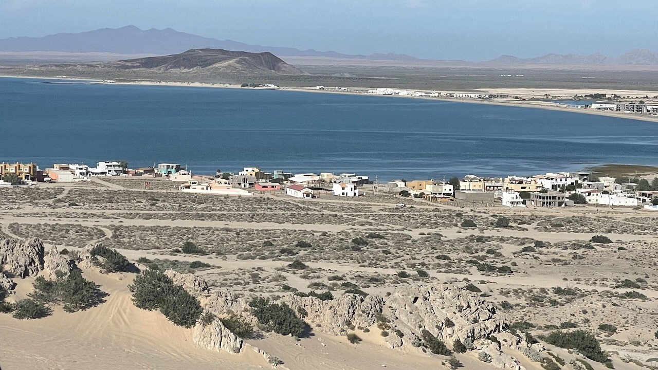 Photo of Others in El Puerto