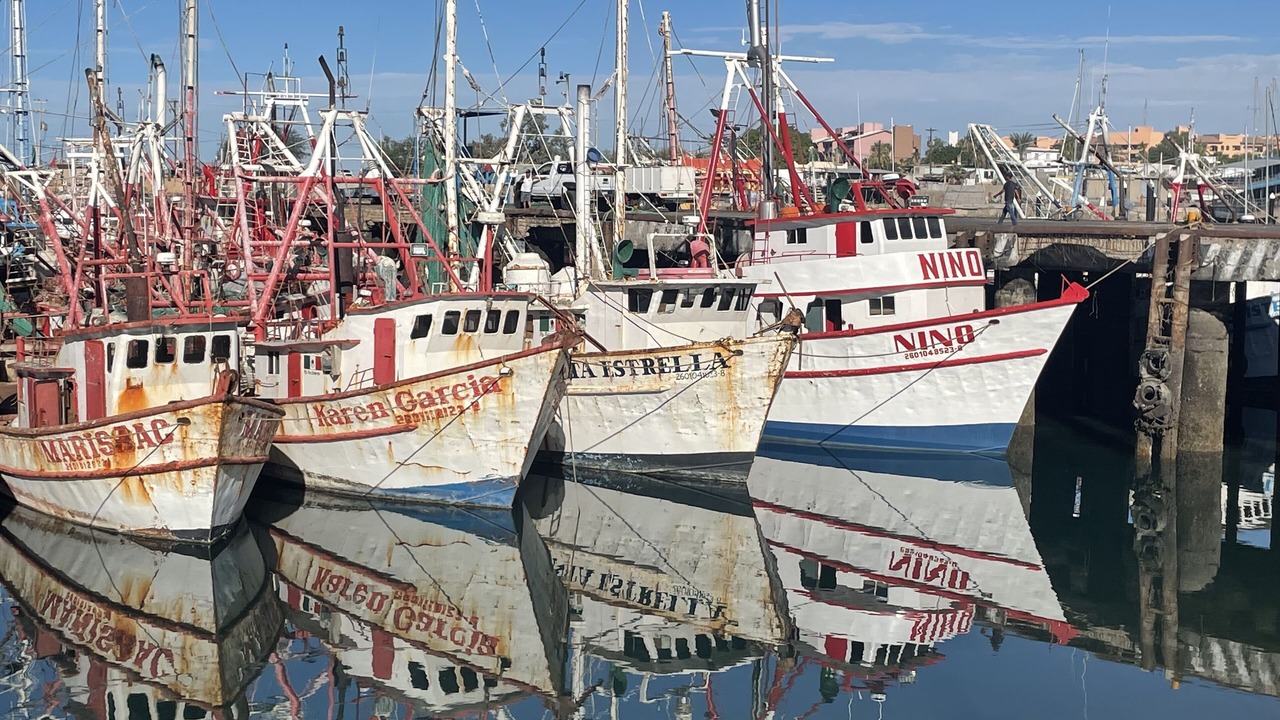 Photo of Others in El Puerto