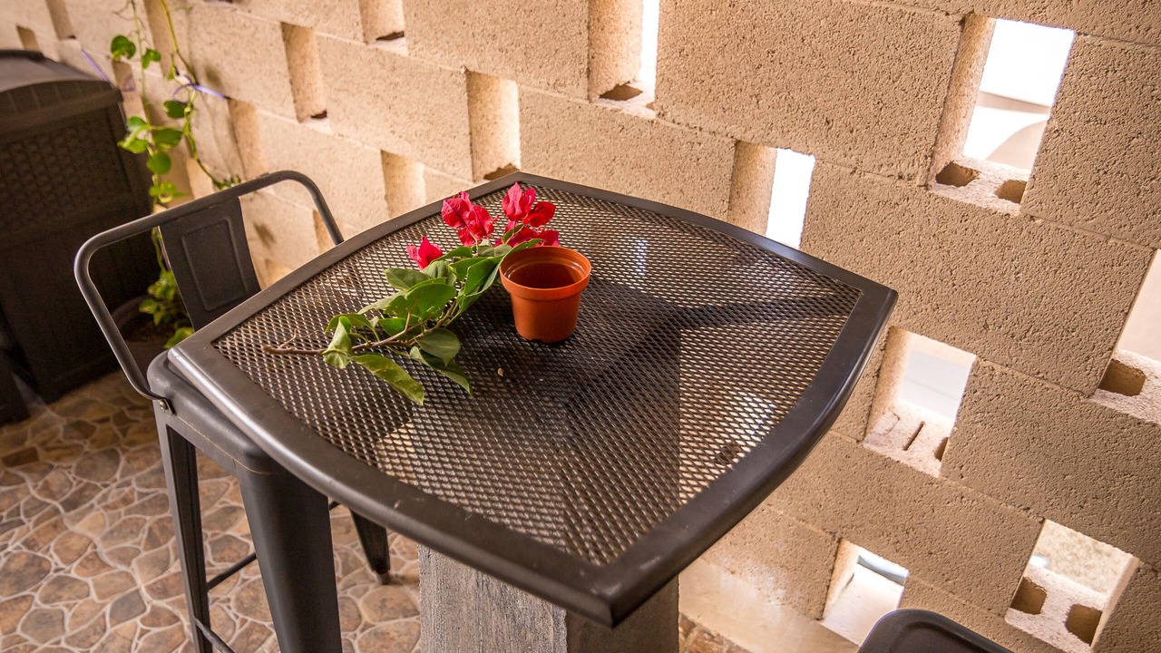 Photo of Outdoor in Alfredo V. Bonfil