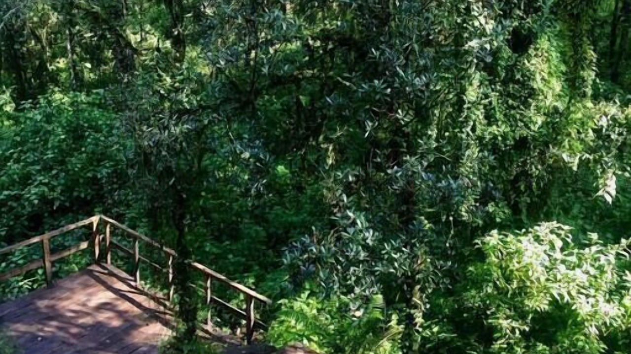 Photo of Outdoor in Valle de Bravo