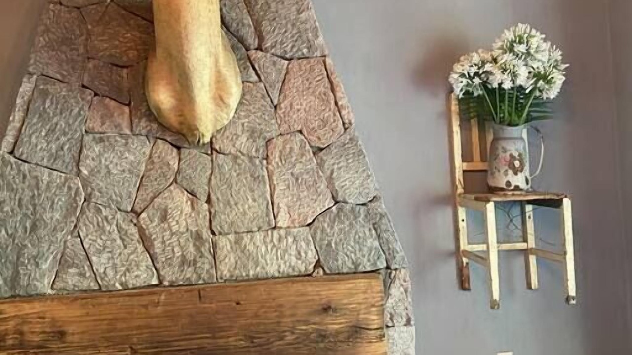 Photo of Livingroom in Valle de Bravo