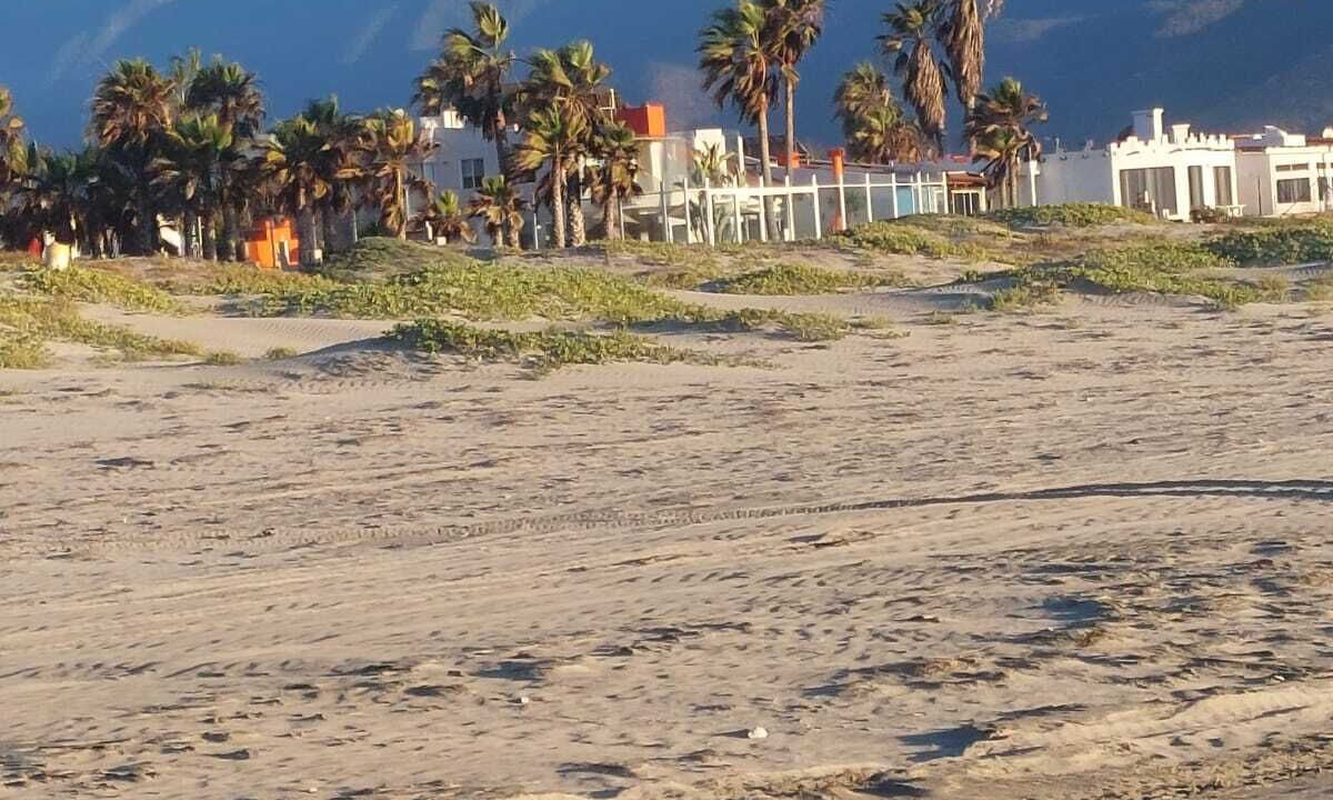 Photo of Others in Lengueta Arenosa