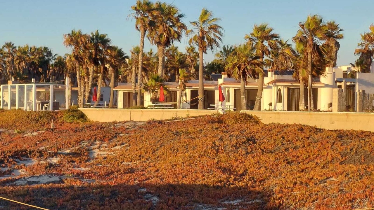 Photo of Outdoor in Lengueta Arenosa
