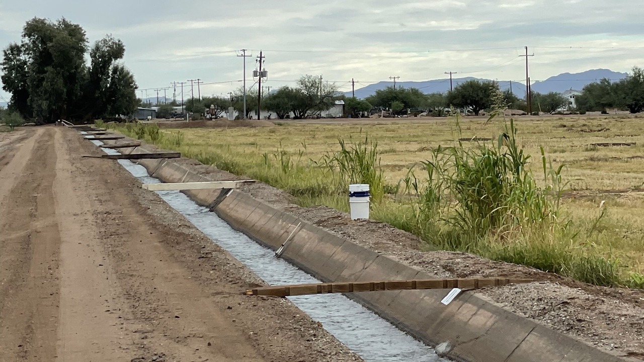 Photo of Others in Gila Bend