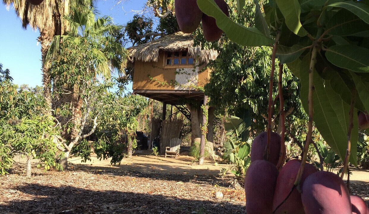 Photo of Outdoor in Todos Santos