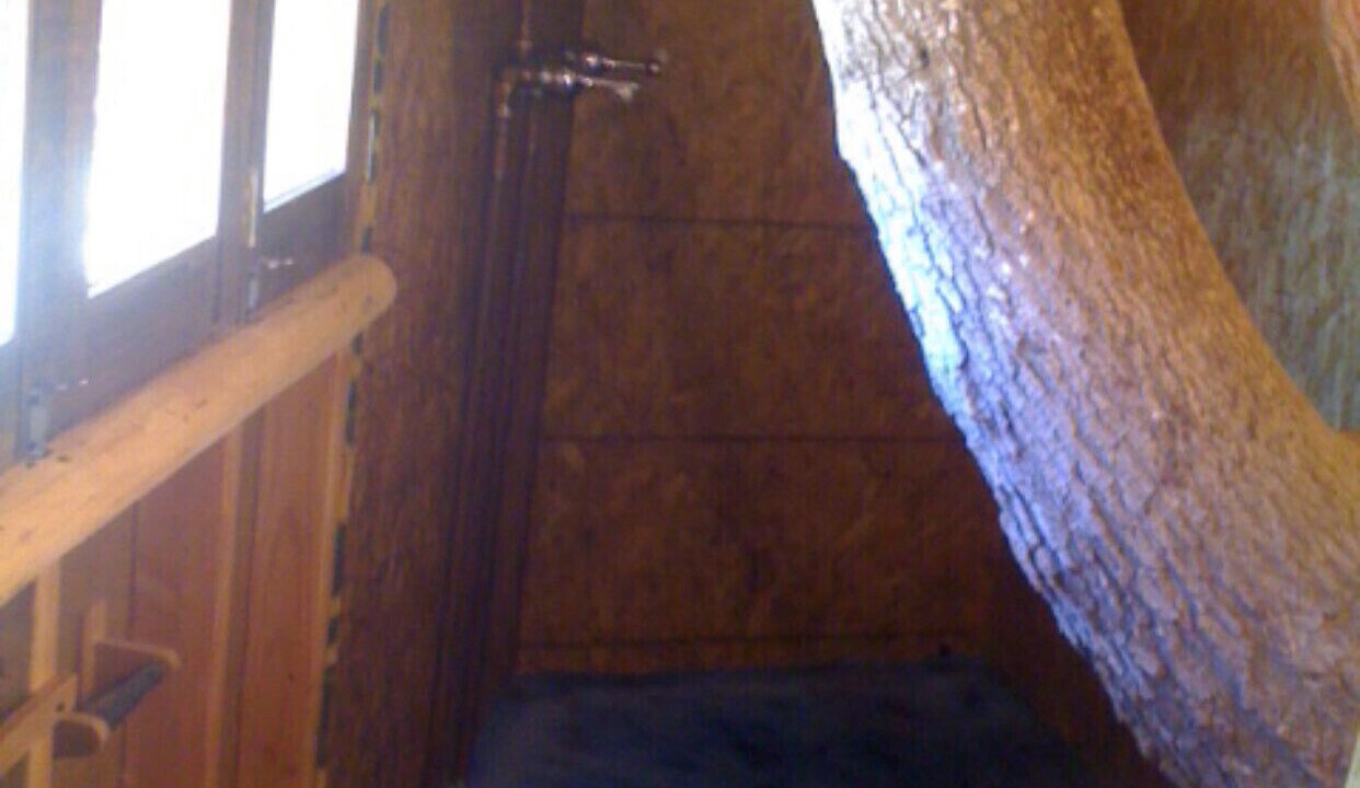 Photo of Bathroom in Todos Santos