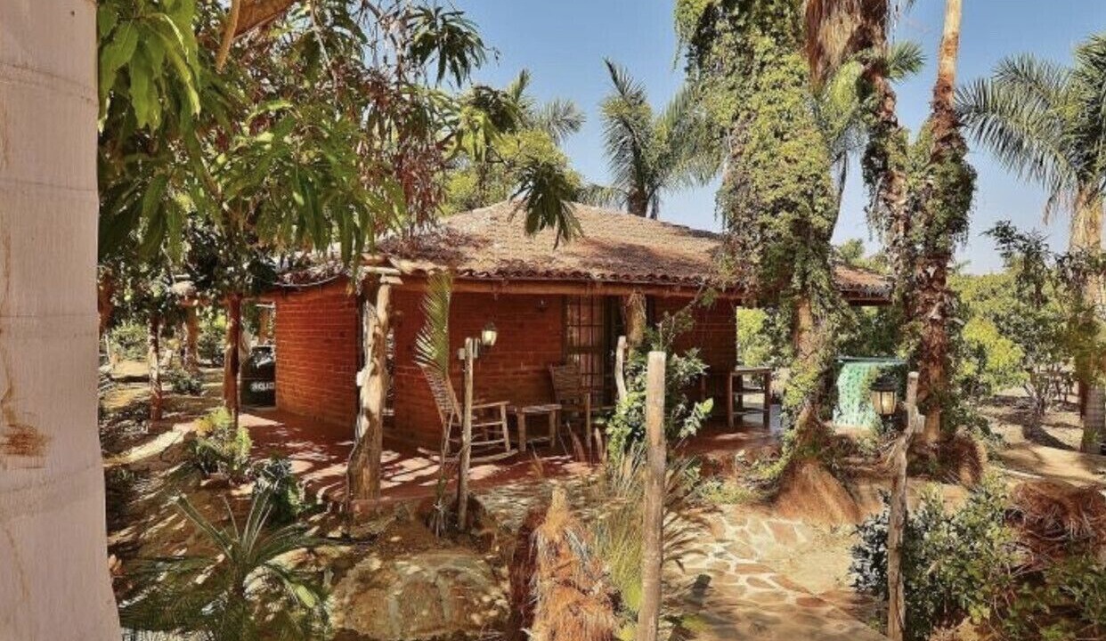 Photo of Others in Todos Santos