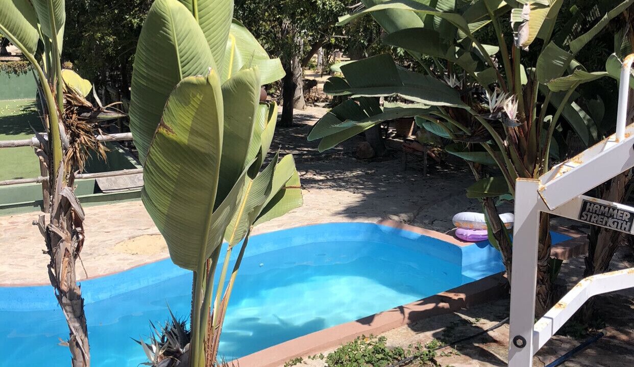 Photo of Outdoor in Todos Santos