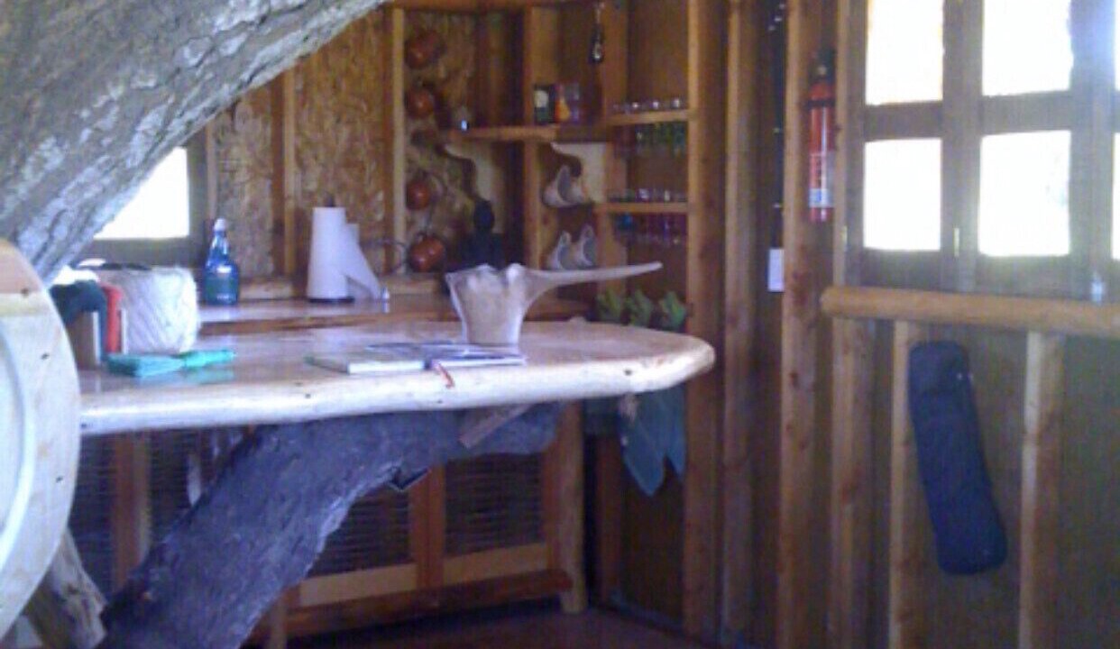 Photo of Others in Todos Santos