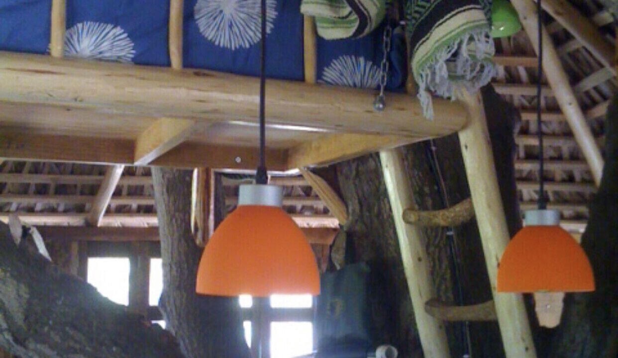 Photo of Bedroom in Todos Santos