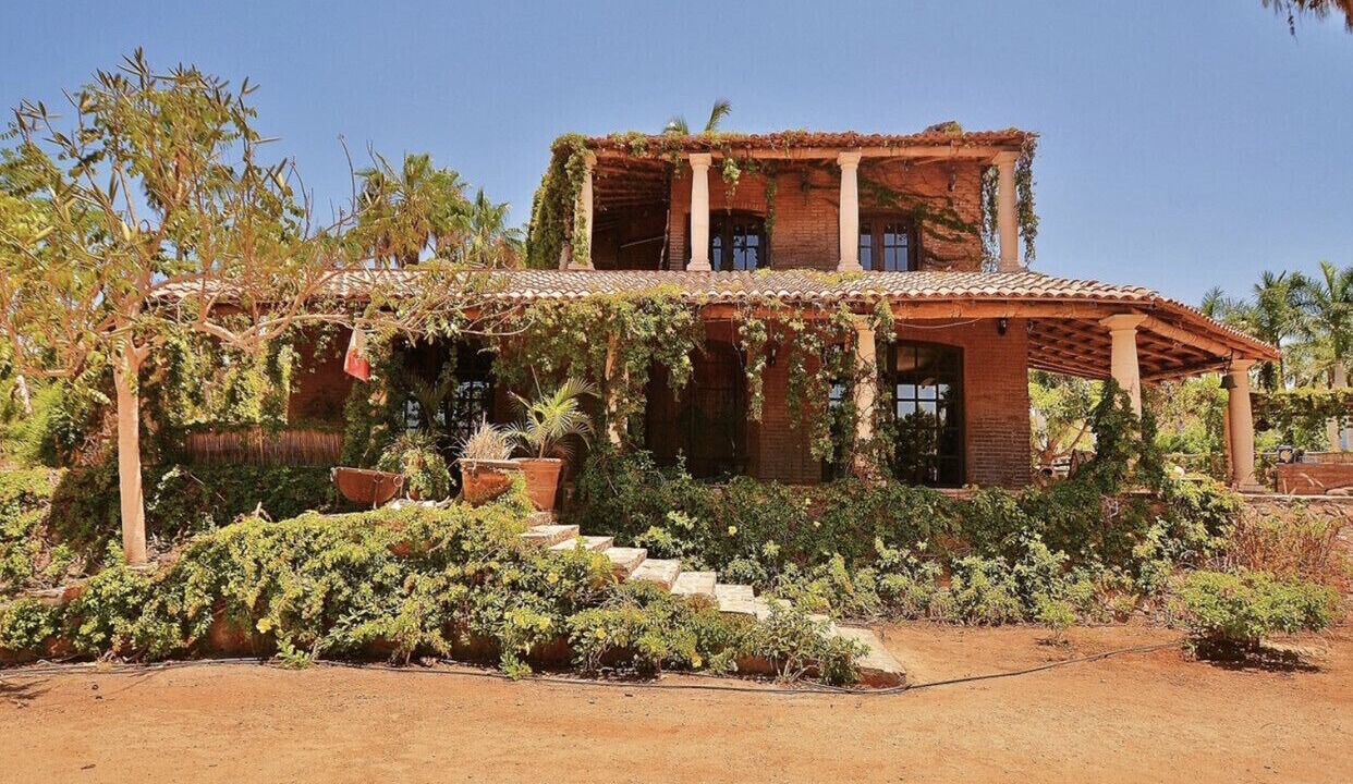 Photo of Outdoor in Todos Santos