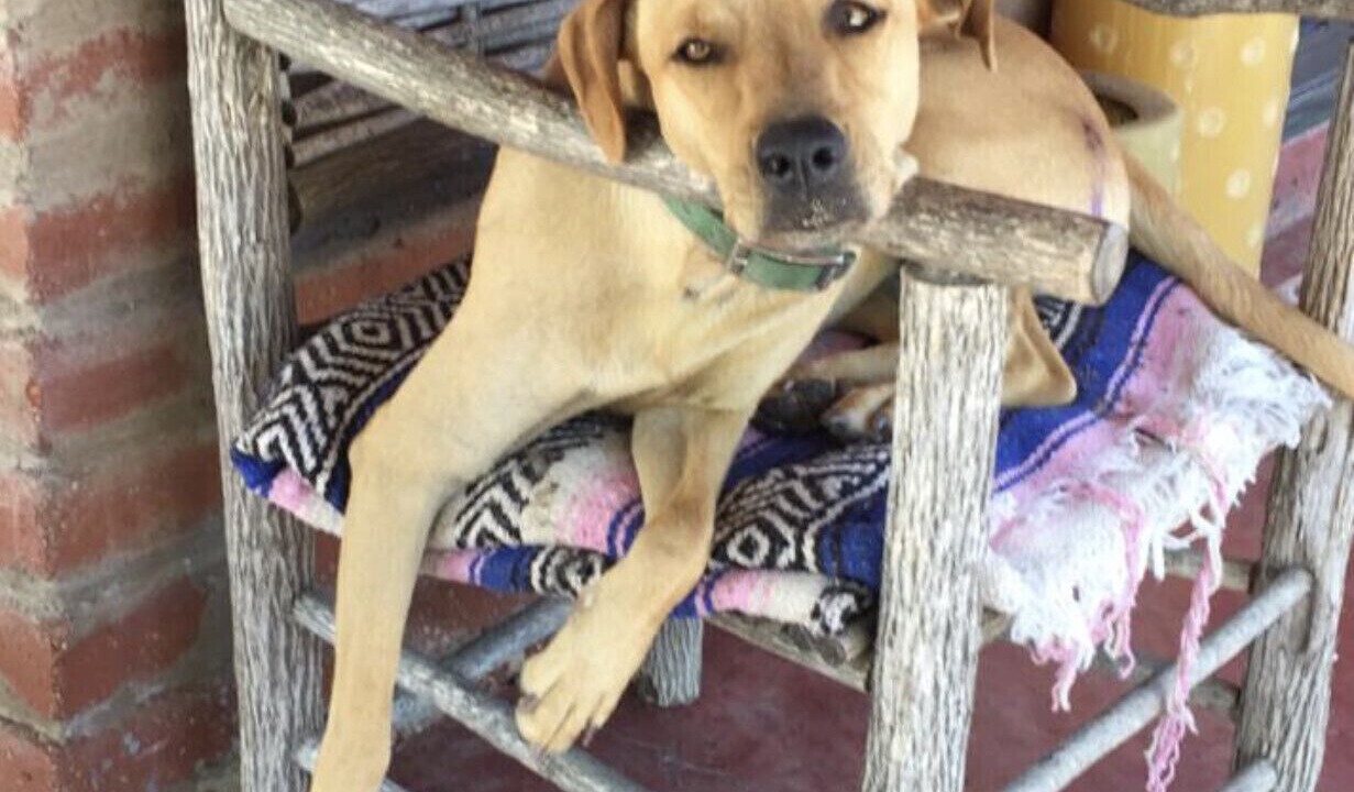 Photo of Others in Todos Santos