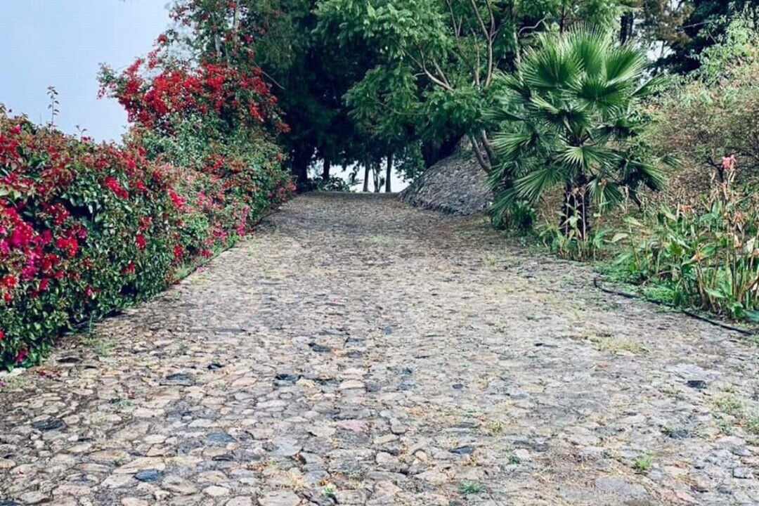 Photo of Outdoor in Tala
