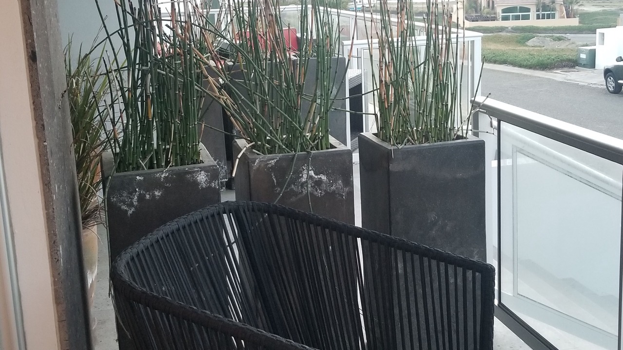 Photo of Patio Balcony in La Salina