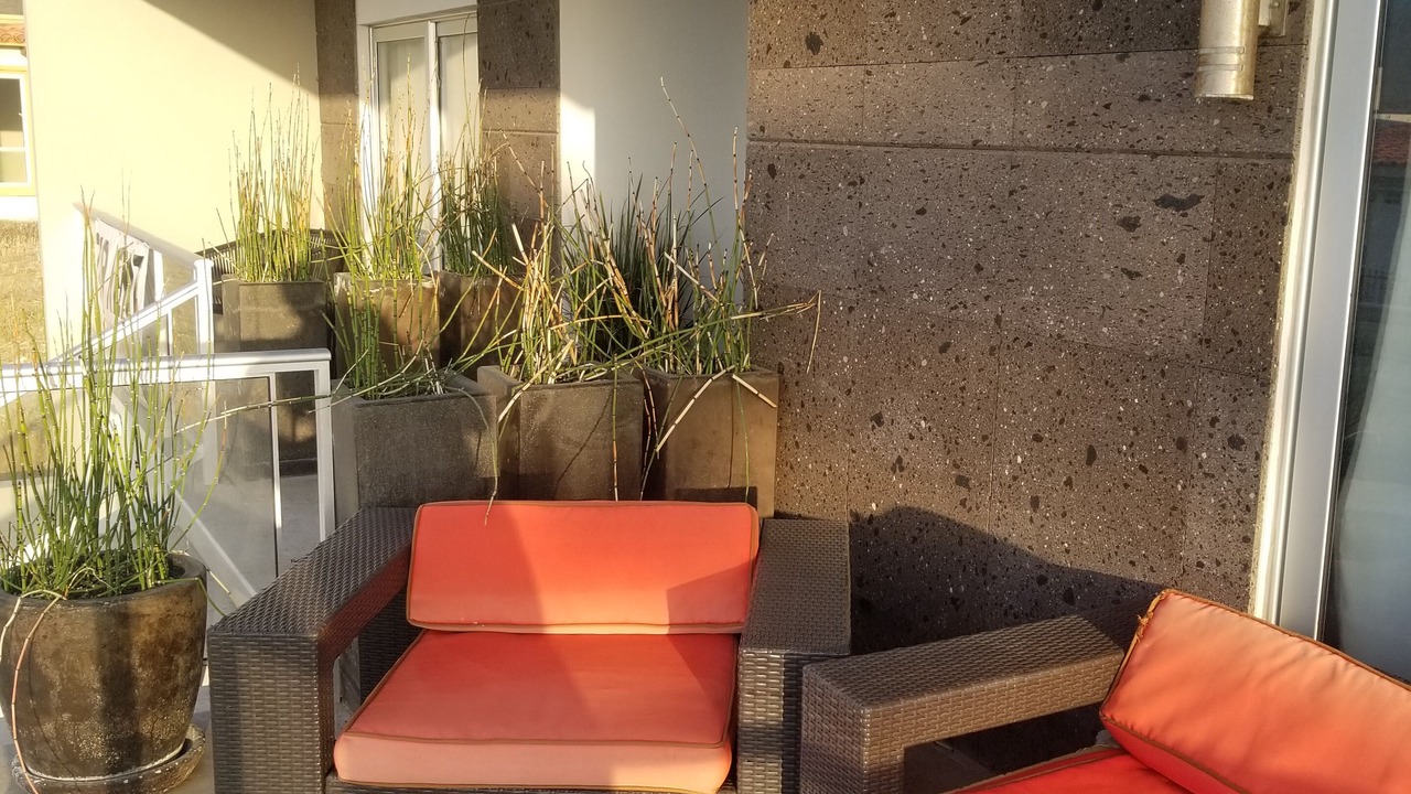 Photo of Patio Balcony in La Salina