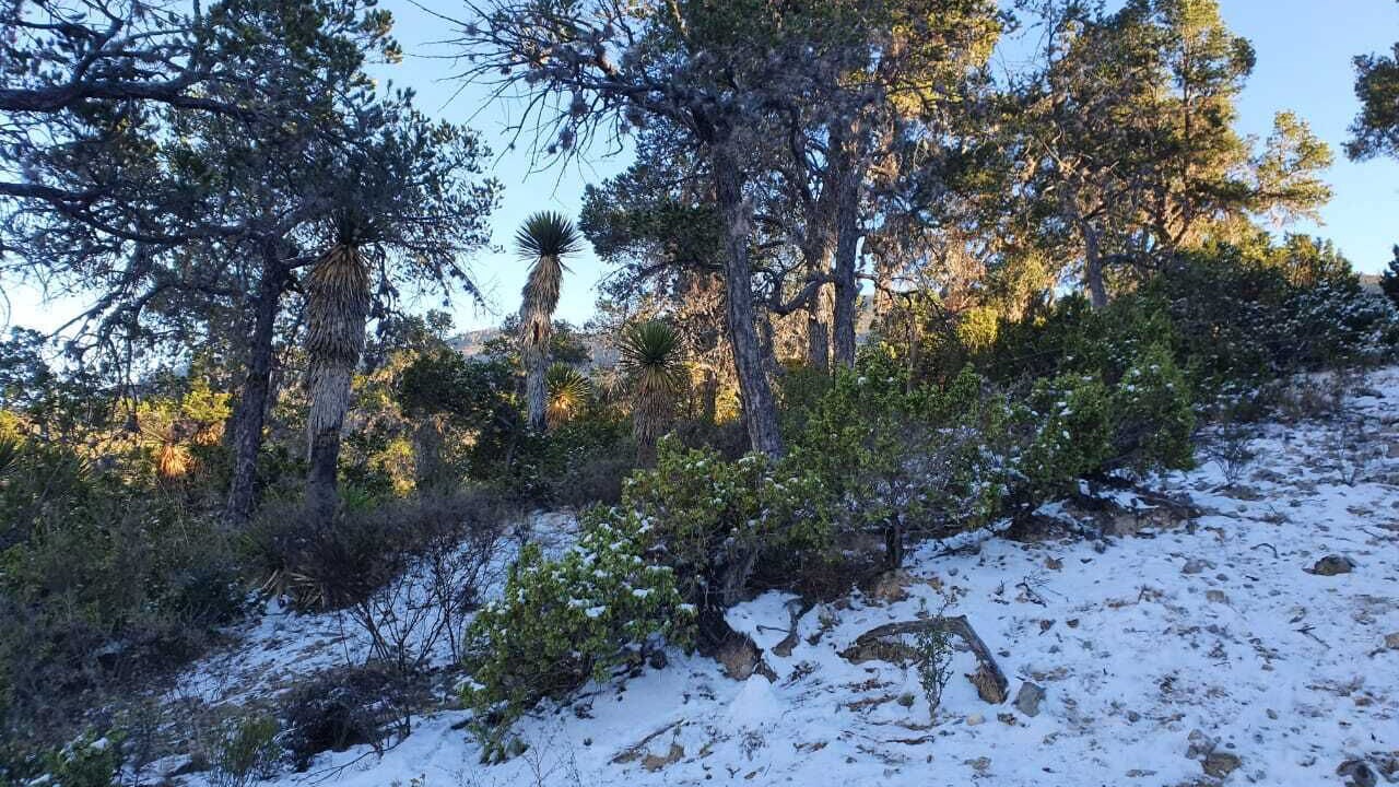 Photo of Outdoor in San Antonio de Las Alazanas