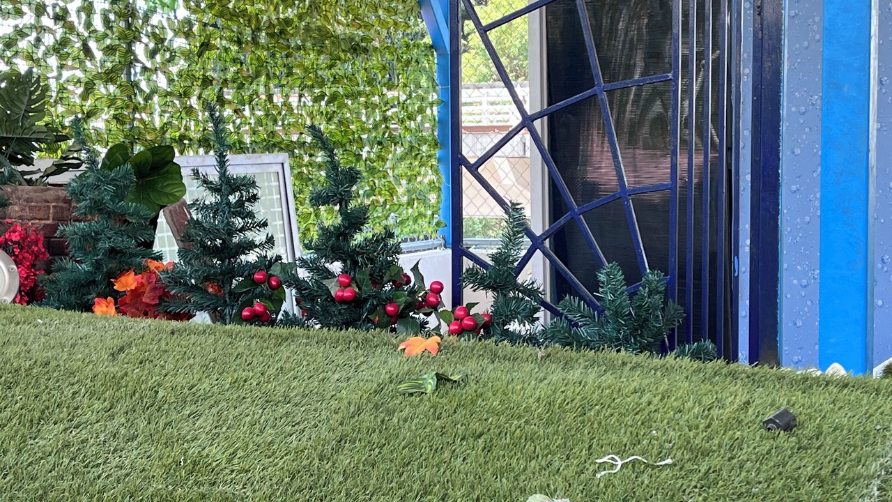 Photo of Outdoor in Guadalajara