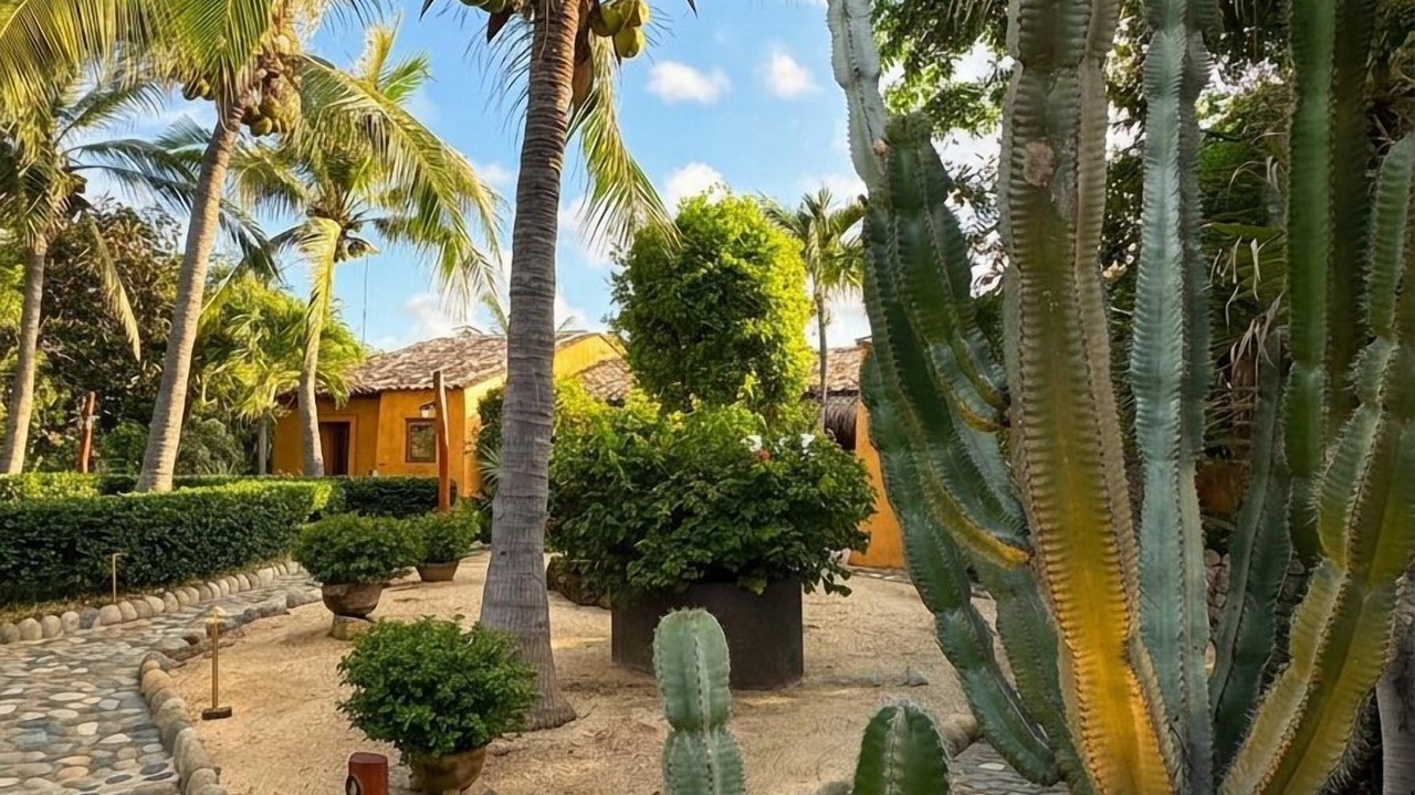 Photo of Outdoor in Troncones