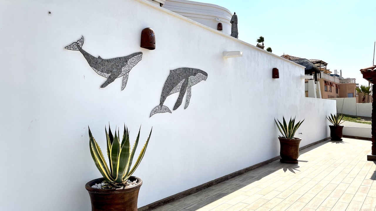 Photo of Outdoor in Las Conchas