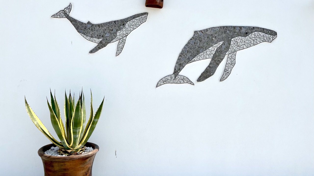 Photo of Outdoor in Las Conchas