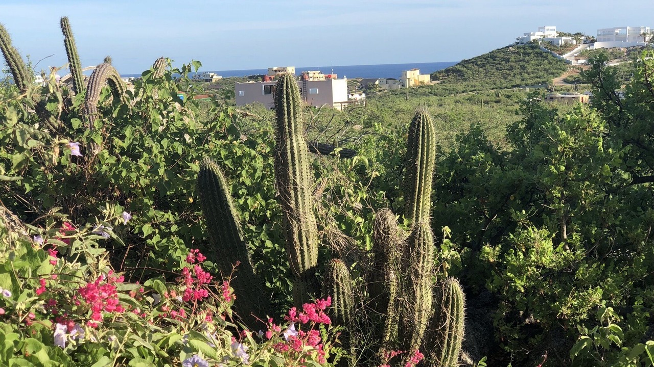 Photo of Others in Los Zacatitos