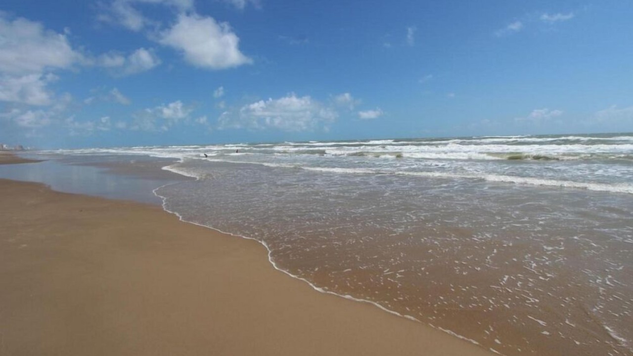 Photo of Others in South Padre Island