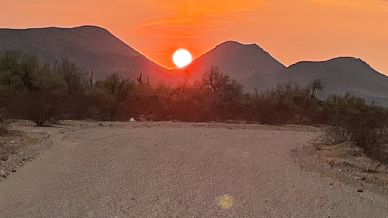 Photo of Others in Gila Bend