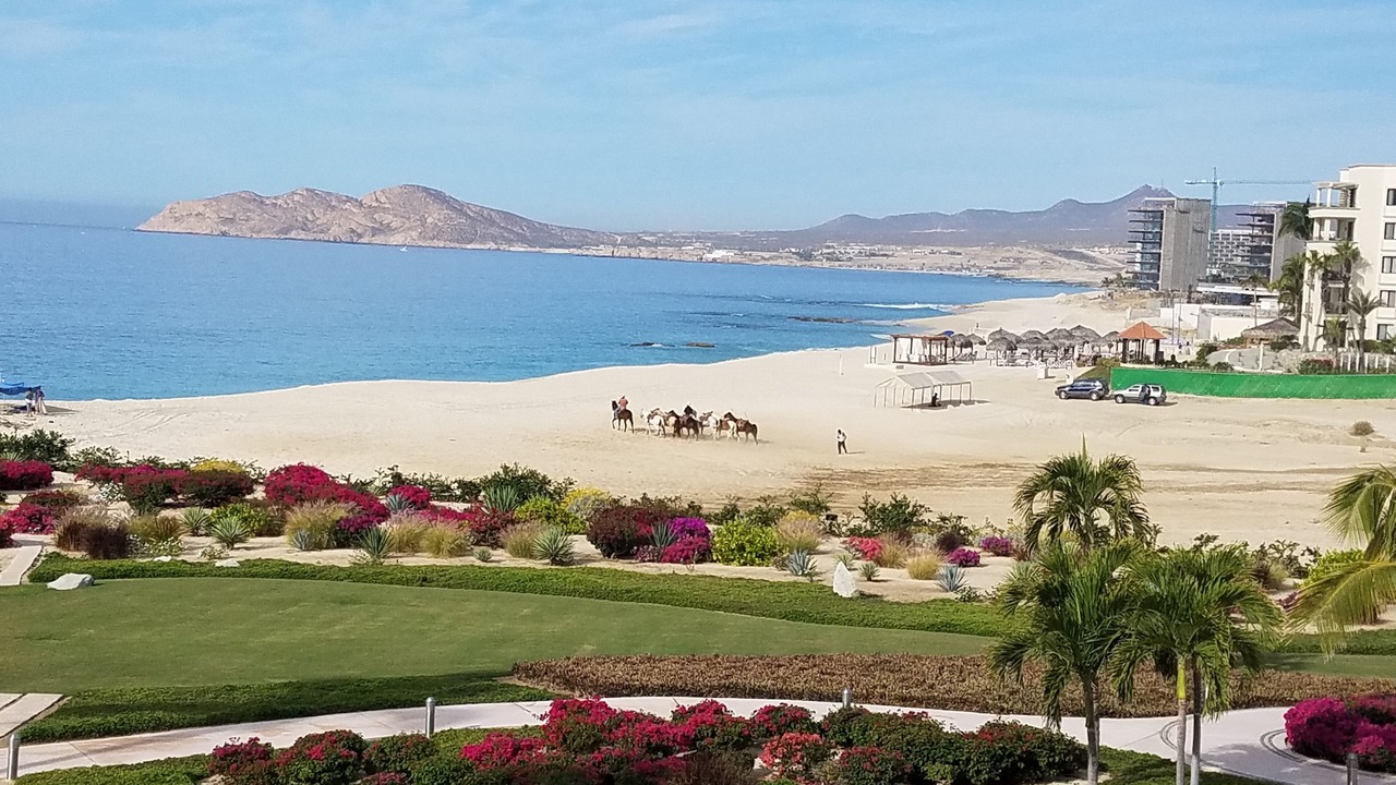 Photo of Others in San Jose del Cabo